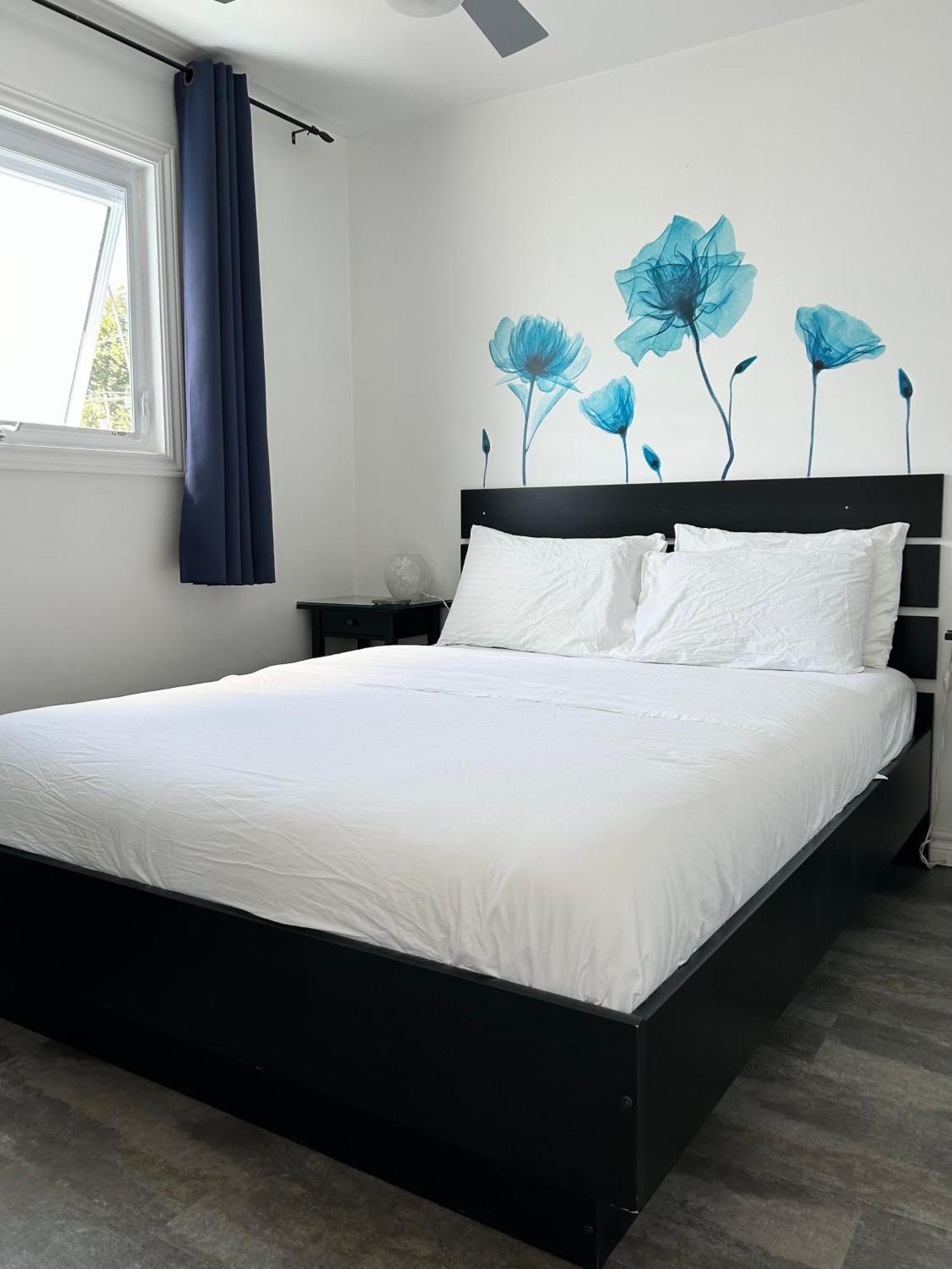 The Birch Villa Wellington Ngoại thất bức ảnh